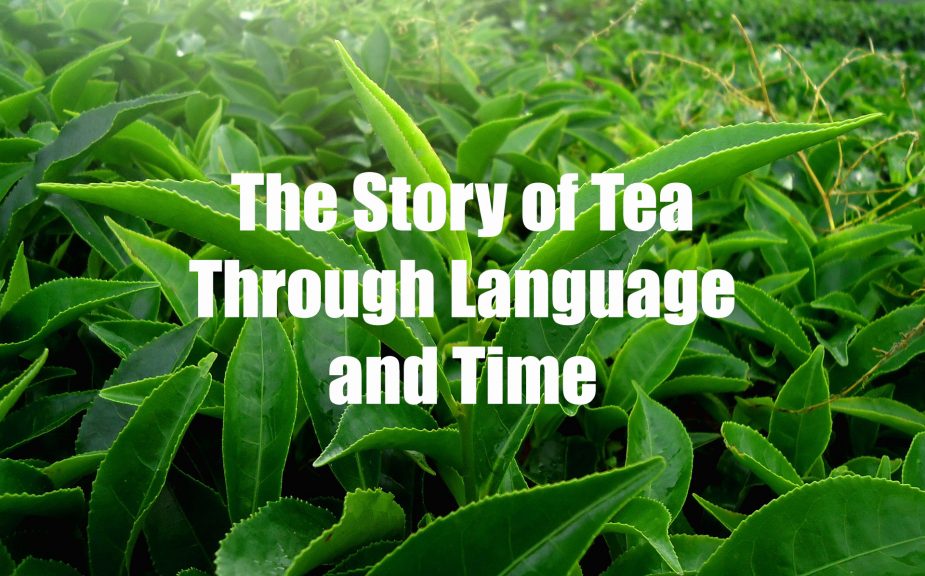 Whether or not etymology is your cup of tea, here’s the story behind